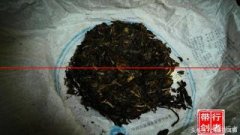 邦东古树茶：500元和5000元，我们该如何取舍？