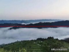 【调查报告】坪坝镇古阳河茶厂的发展趋势