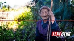 张家界：104岁符艺妹的长寿面纱