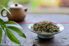 喝绿茶会伤胃吗？