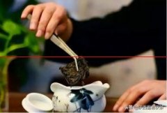 为什么茯茶能够在东北地