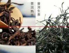 【茶知识】茶叶发酵的关键工序