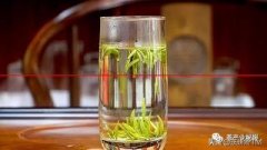 [微风]怎样泡绿茶才健康？