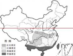 舌尖上的中国：江南茶区、华南茶区和西南茶区