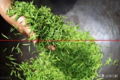 【农技科普大赛】新鲜的炒青绿茶，如何保存新茶常新？
