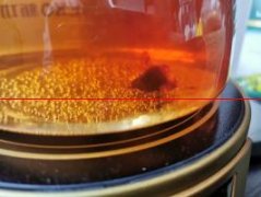 熬煮茶膏——宫廷普洱茶