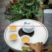 凤凰单丛茶，为什么这么香？