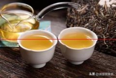 同样的茶叶，为啥泡出来的茶难喝？记住这“3点”，茶更好喝