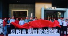 中心城区首家！岁贡十八·岳阳黄茶体验馆正式对外开放