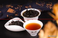 茶中之王——大红袍的冲