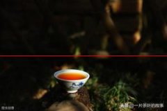 【茶知识】武夷山的茶叶分类