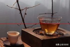 教你如何分辨普洱熟茶的好坏