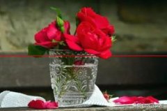 剪下来的玫瑰，插在花瓶里一周就凋谢，教你3个技巧，不凋谢