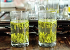 冲泡绿茶最忌讳先放茶叶后添水，用这3种投茶方式，泡出来更好喝