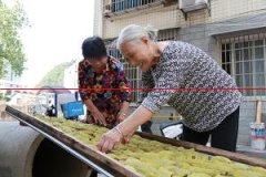 浏阳76岁“崔婆婆”：免费为邻里做盐旱茶，居民点赞
