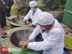 探访南京雨花茶：炒茶正