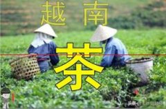 1-2月，越南茶叶出口收入同比增长11.1%
