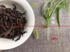 武夷岩茶正岩肉桂，哪些茶是霸气的？