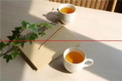 中国六大茶类之一——福建白茶