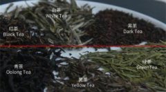 茶知识丨绿茶、红茶是根据啥分的？