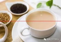 想开奶茶店，如何制作茶水？