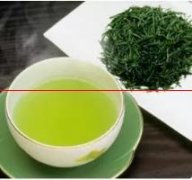 日本绿茶——玉露茶
