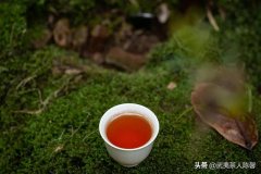 怎么分辨茶树品种(茶树品种图解大全)