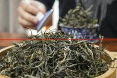 普洱春茶即将上市，如何区分台地茶和古树茶？
