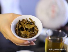 如何鉴别普洱茶的品质？