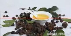 喜讯！“舒城山茶油”成功注册地理标志证明商标