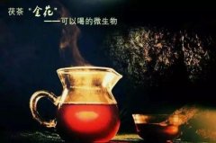 【安化黑茶】如何运用黑茶养生呢？