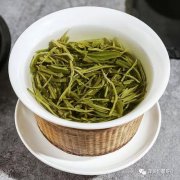 永川秀芽——针形名茶