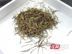 喜讯！湘西州黄金茶红茶在首届中国工夫红茶大赛上斩获多个大奖